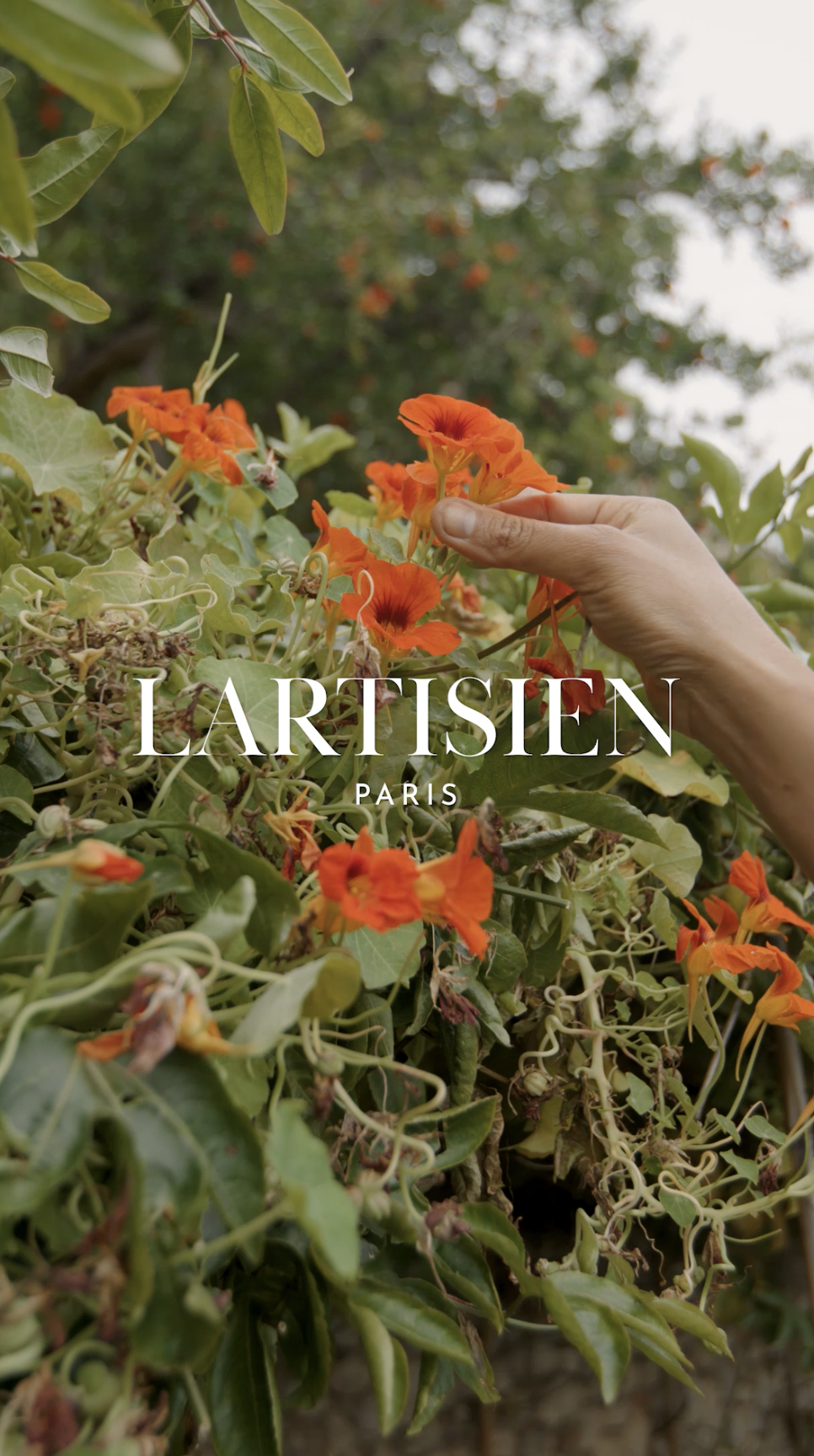 LARTISIEN PARIS